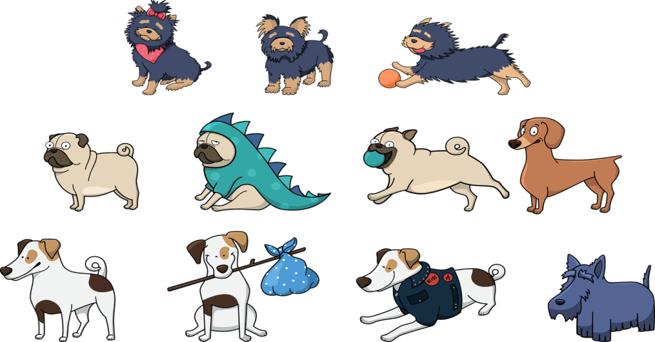 Chiens sur le lieu de travail : quels avantages ?