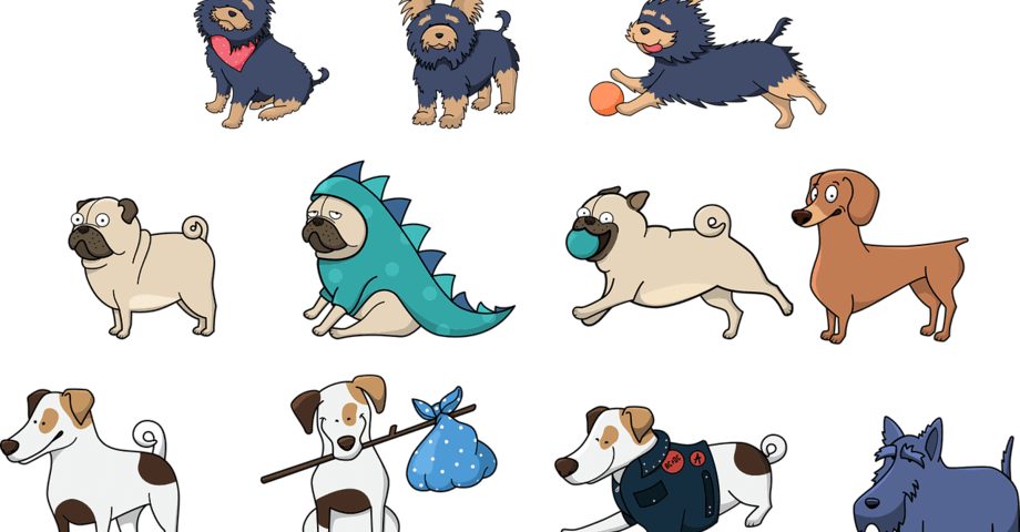Chiens sur le lieu de travail : quels avantages ?