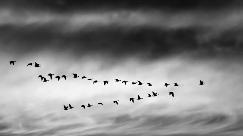 Project management : développez votre leadership pour faire avancer vos projets Project management : développez votre leadership pour faire avancer vos projets