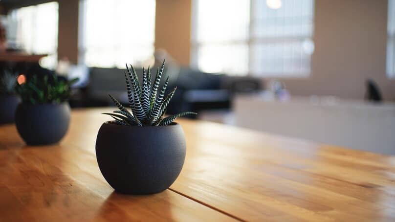 5 idées de déco de bureau pour améliorer la productivité 5 idées de déco de bureau pour améliorer la productivité